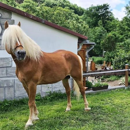 Апартаменты Auf Dem Reiterhof Вернигероде Экстерьер фото