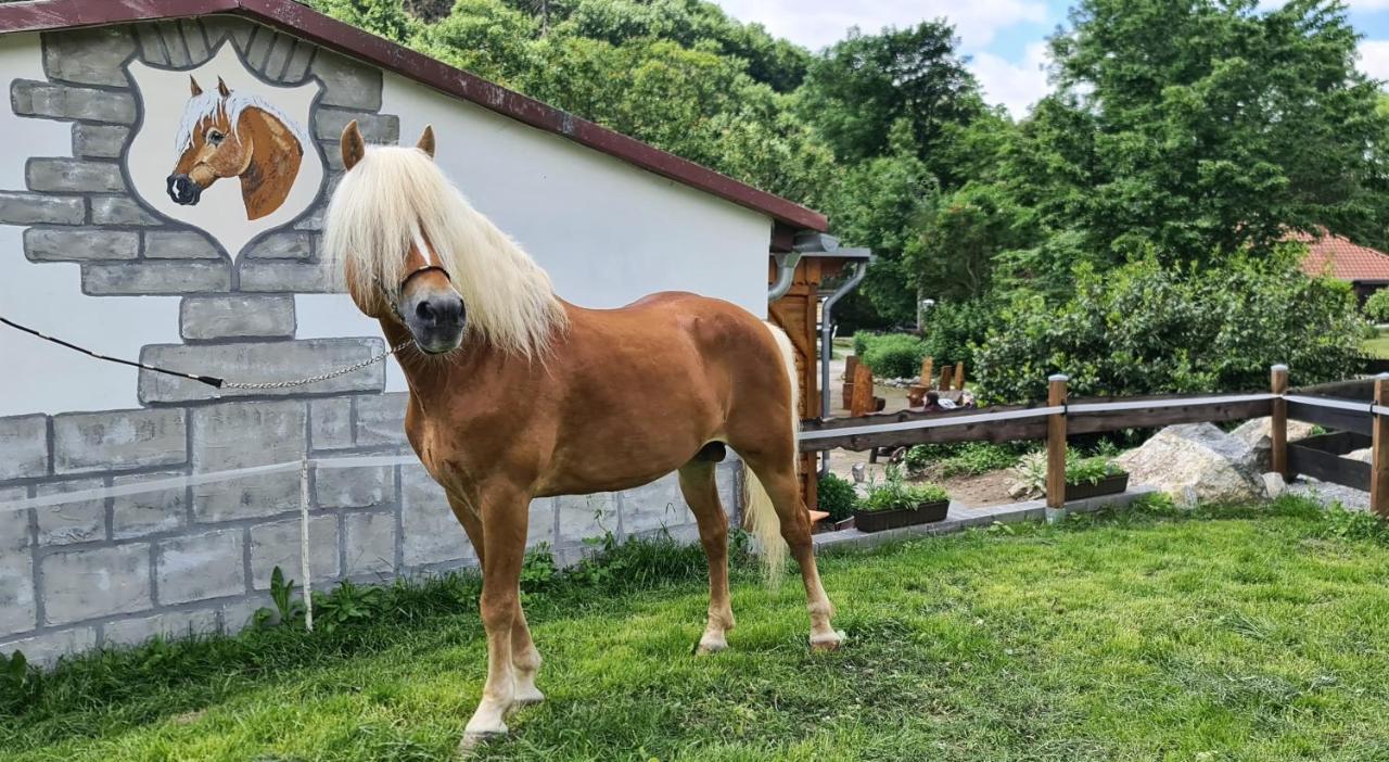 Апартаменты Auf Dem Reiterhof Вернигероде Экстерьер фото